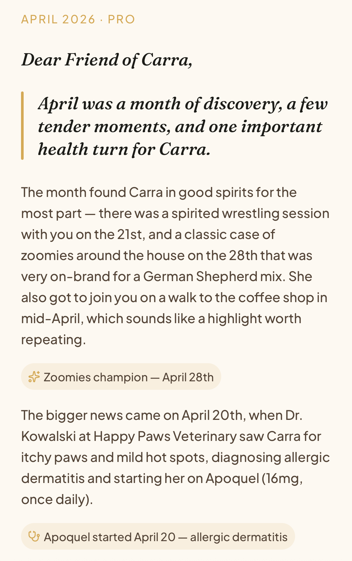 A Tamadoggo monthly summary — a warm, AI-written letter recapping the month with your pet, with highlight moments and a health note.