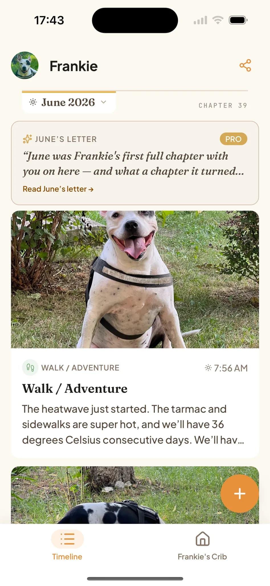 A dog's timeline in Tamadoggo — a photographed walk, everyday moments and the month's AI letter in one chronological journal
